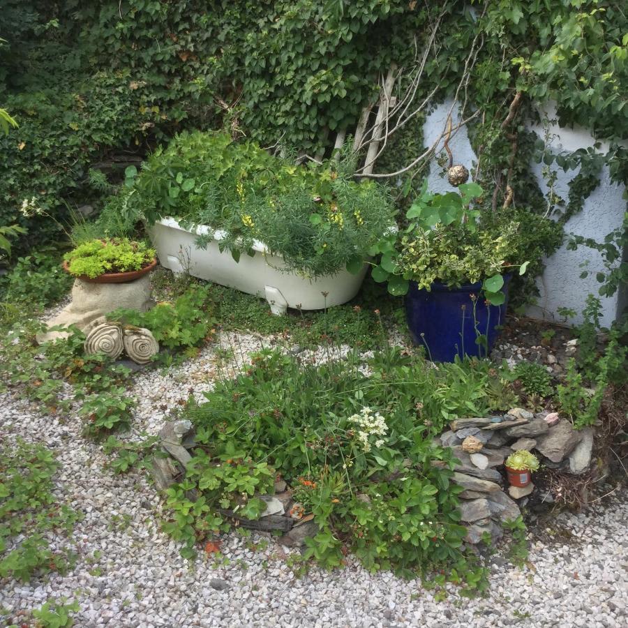 Ferienwohnung Hering In Dill Zewnętrze zdjęcie