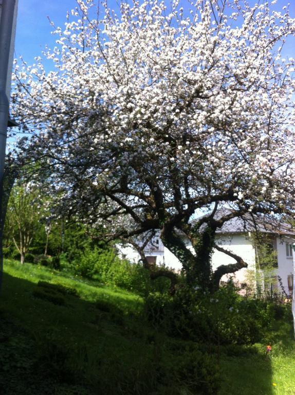 Ferienwohnung Hering In Dill Pokój zdjęcie