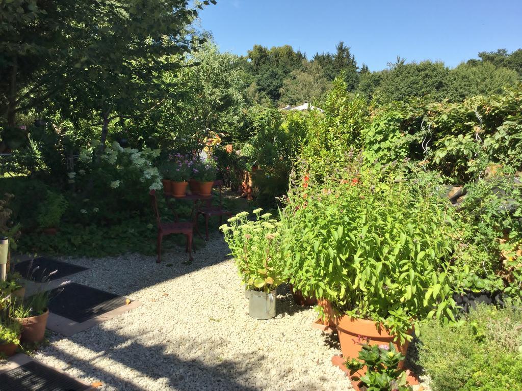 Ferienwohnung Hering In Dill Zewnętrze zdjęcie